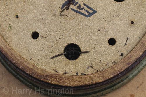 bonsai drainage mesh